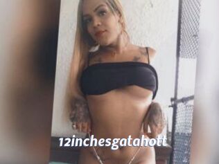 12inchesgatahott