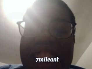 7mileant