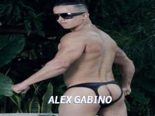 ALEX_GABINO Sexe amateur contributions