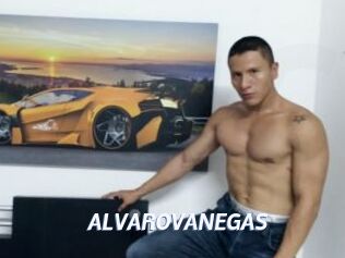 ALVAROVANEGAS