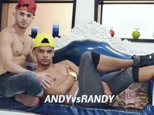 ANDYvsRANDY