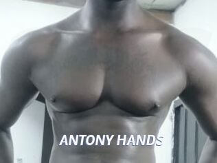 ANTONY_HANDS