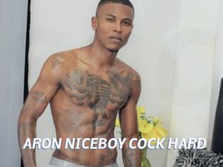 ARON_NICEBOY_COCK_HARD