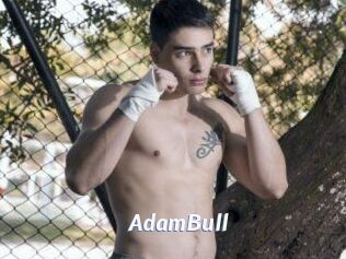AdamBull Sexe amateur contributions