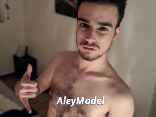 AleyModel