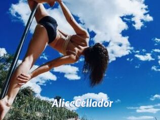 AliceCellador