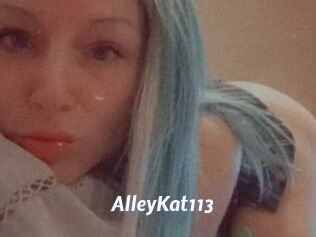 AlleyKat113