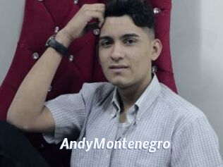 AndyMontenegro
