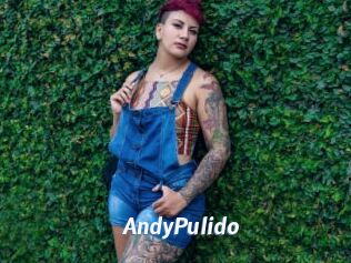 AndyPulido