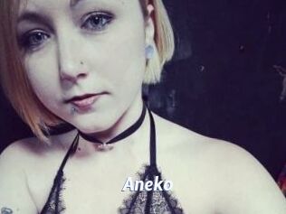 Aneko Sexe amateur contributions