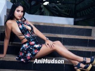 AniHudson