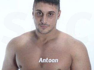 Antoan