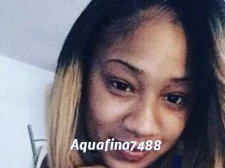 Aquafina7488