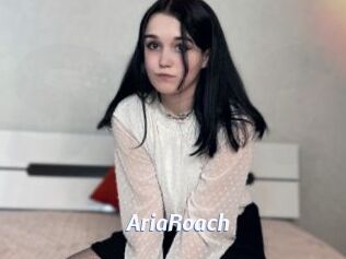 AriaRoach