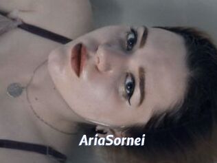 AriaSornei