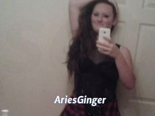 AriesGinger