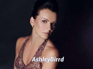AshleyBirrd Sexe amateur contributions
