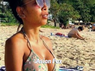 Asian_Fox