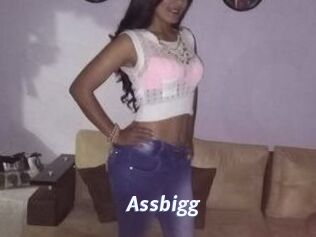 Assbigg