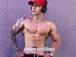 Adamscollims