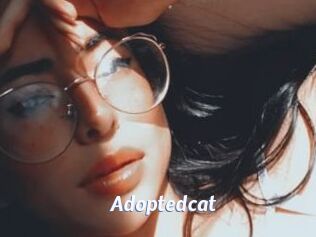 Adoptedcat