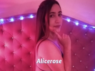 Alicerose