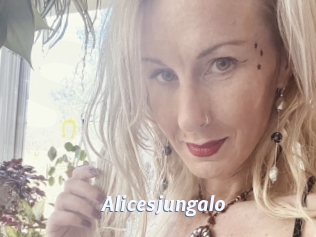 Alicesjungalo