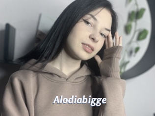 Alodiabigge