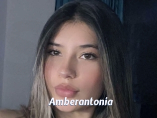 Amberantonia