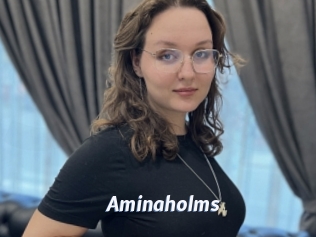 Aminaholms