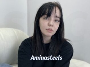 Aminasteels