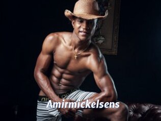 Amirmickelsens