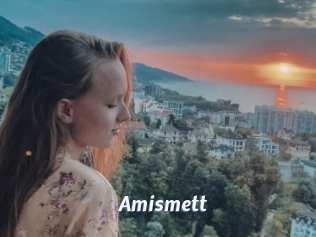 Amismett