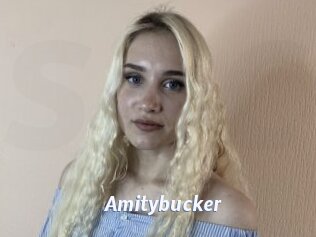 Amitybucker