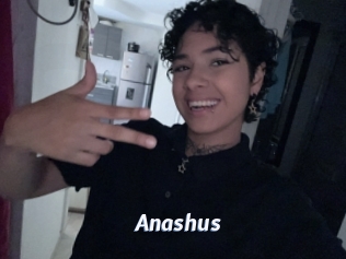 Anashus