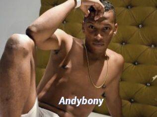Andybony