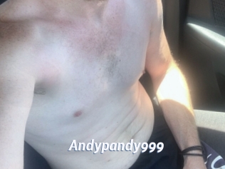 Andypandy999