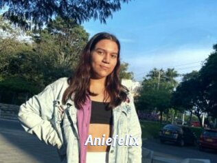 Aniefelix
