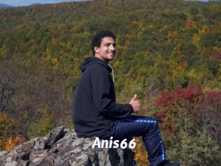Anis66