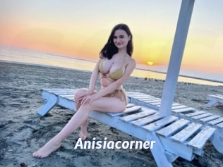 Anisiacorner