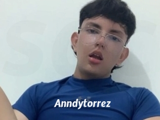 Anndytorrez