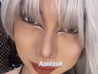 Anntook
