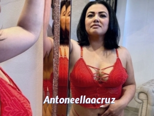 Antoneellaacruz