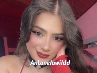 Antonelawildd