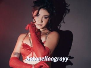 Antonellaagrayy