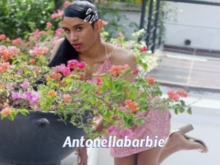 Antonellabarbie
