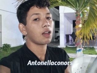 antonellaconors Sexe amateur contributions