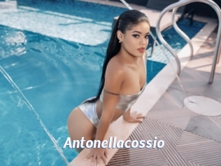 antonellacossio Sexe amateur contributions
