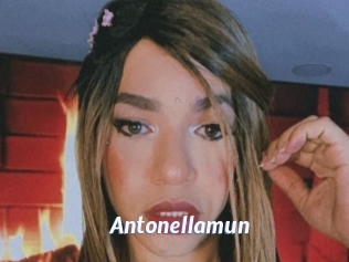 Antonellamun