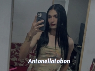 Antonellatobon